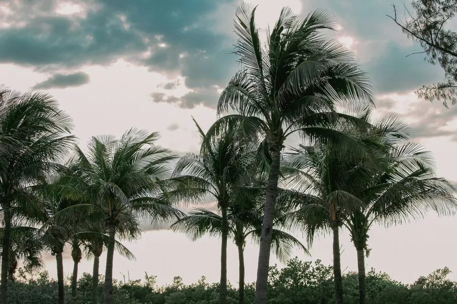 Fort Lauderdale, Florida weather radar