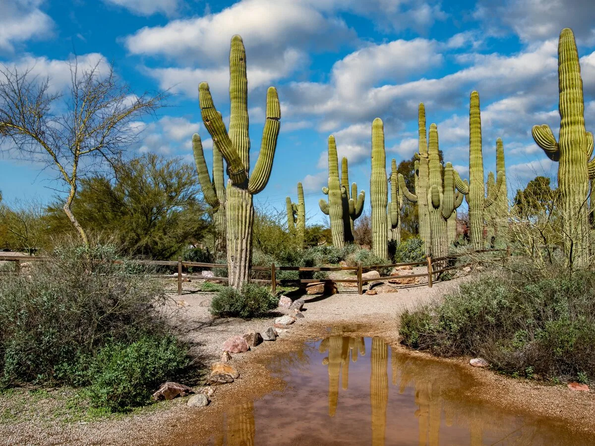 Gilbert, Arizona