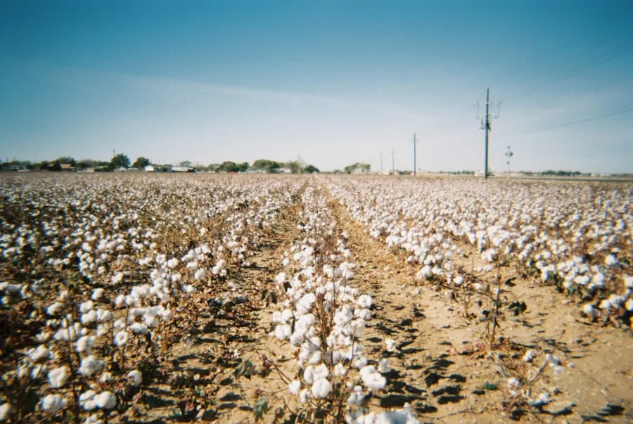 Lubbock, Texas weather radar